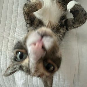 Meet your Posher, Lucia